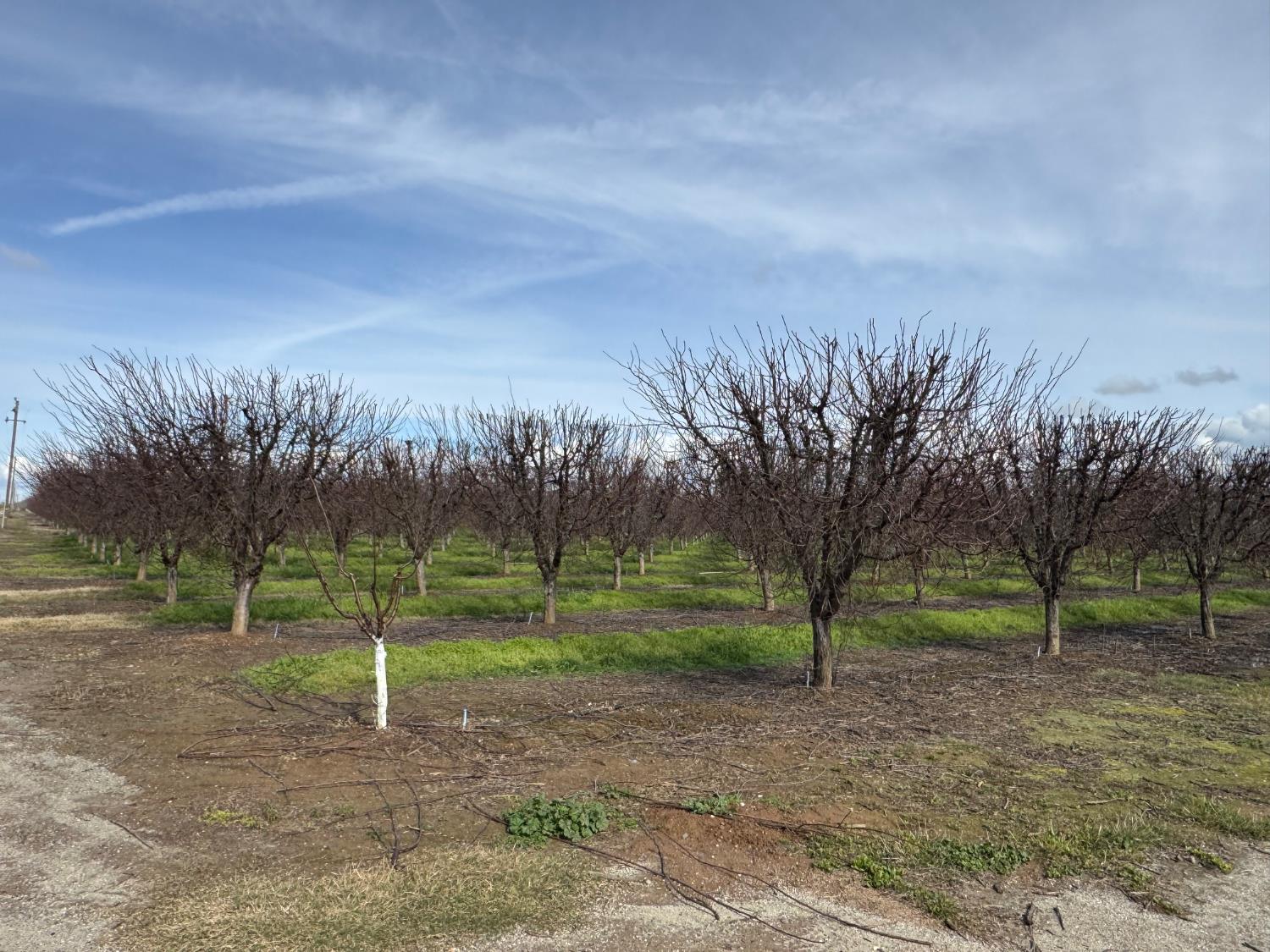 6722 Bryden Road Marysville, CA 95901 - Photo 13 of 33 a view of outdoor space with green space