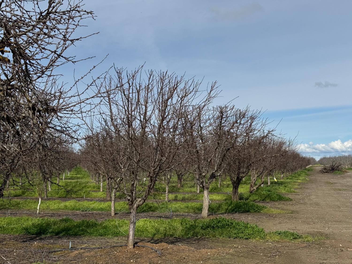 6722 Bryden Road Marysville, CA 95901 - Photo 3 of 33 a view of a park