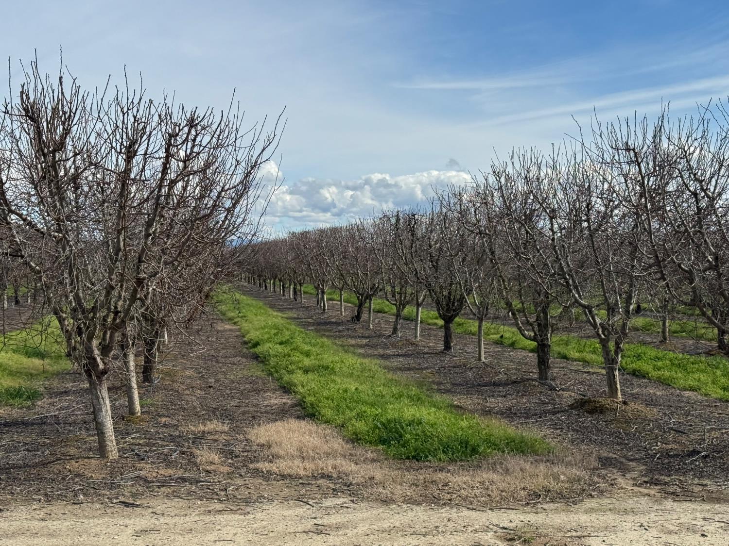 6722 Bryden Road Marysville, CA 95901 - Photo 8 of 33