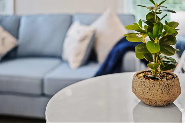 a kitchen with stainless steel appliances and a refrigerator