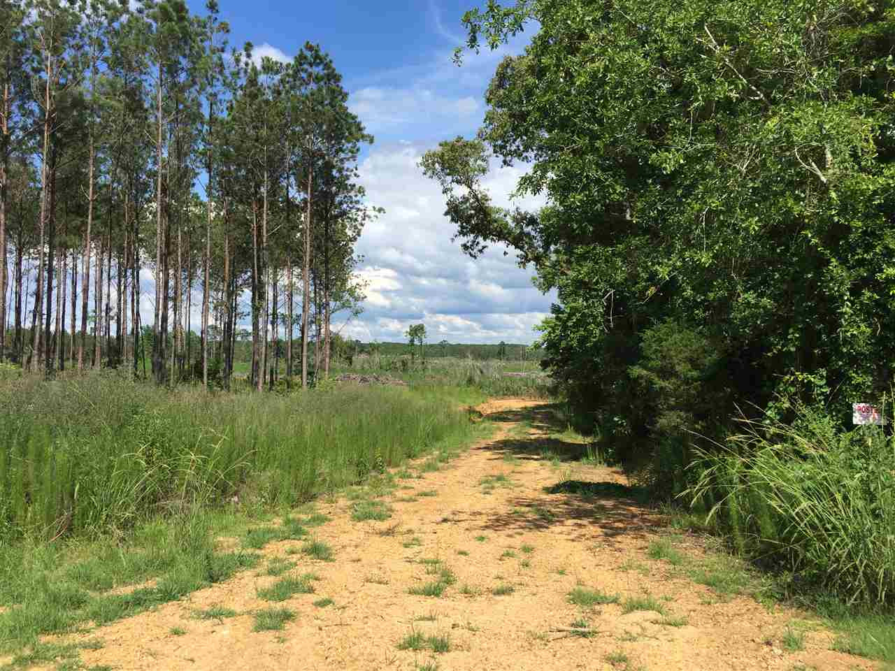 2123 X Old Red Star Road Wesson, MS 39191 - Photo 1 of 1 Photo 1