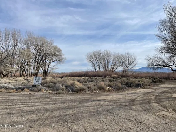 a view of a dry yard with trees