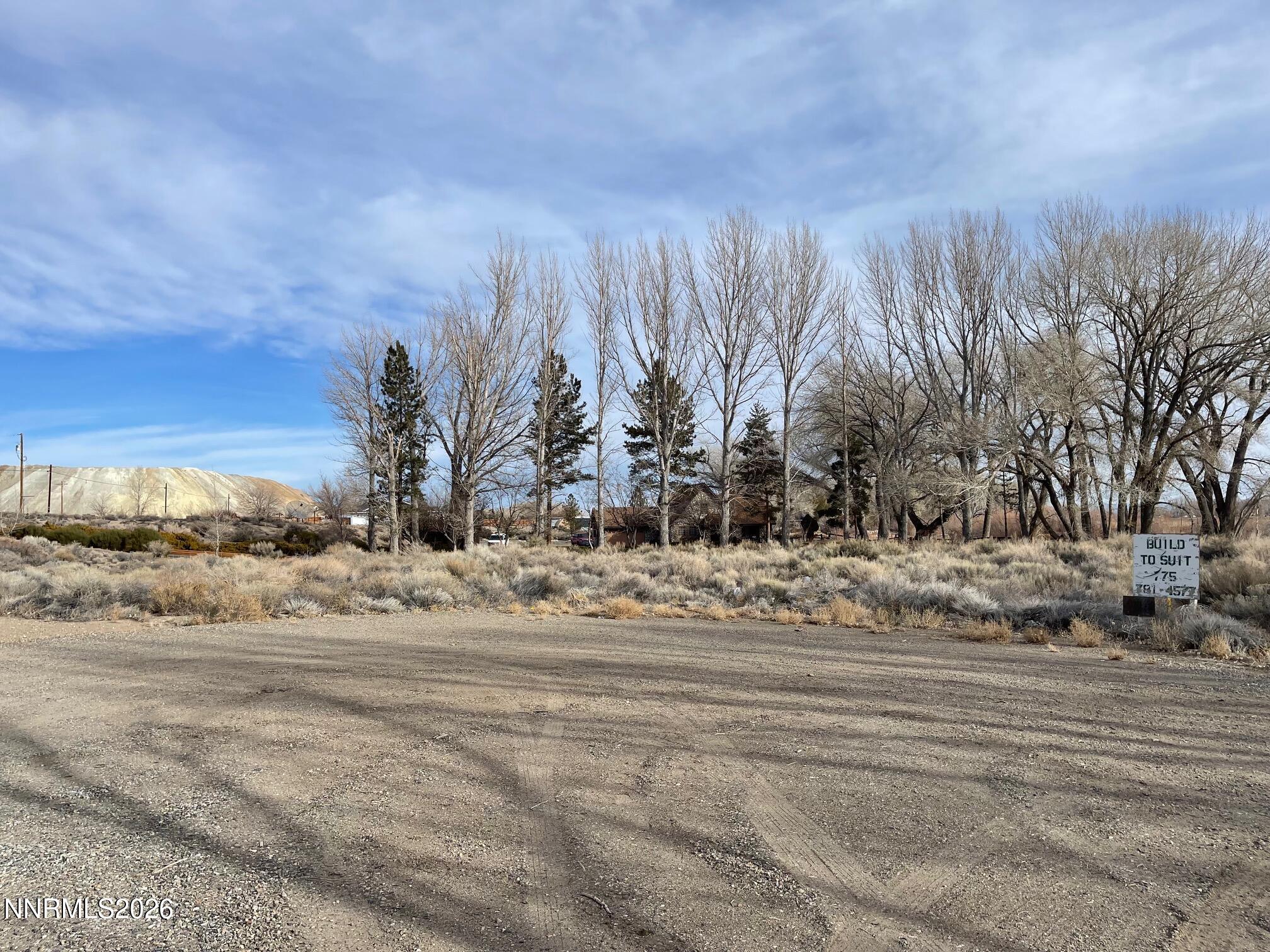 8 Moyle Court Yerington, NV 89447 - Photo 4 of 13 a view of a backyard of a house