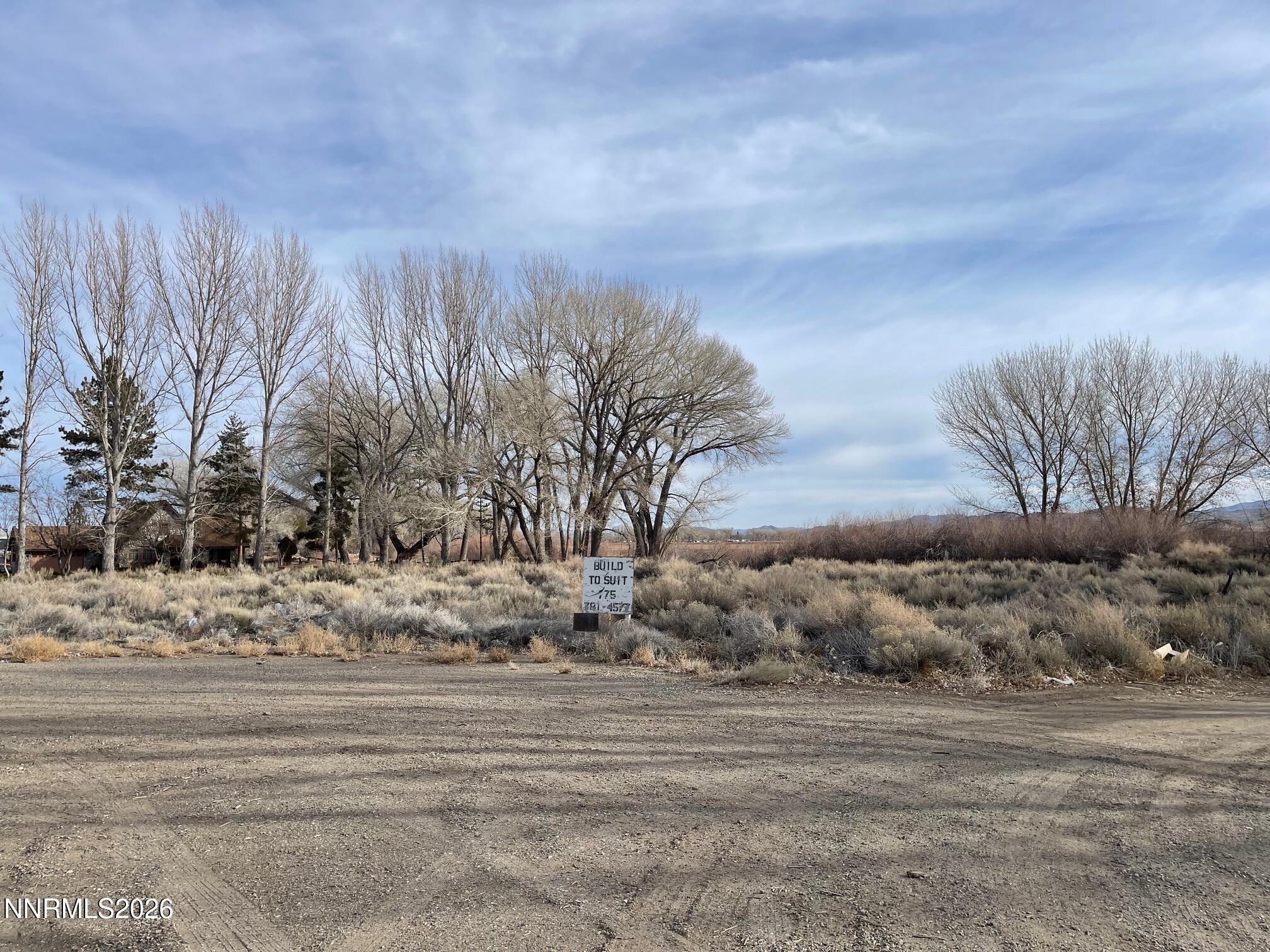 8 Moyle Court Yerington, NV 89447 - Photo 5 of 13 a view of a backyard of snow
