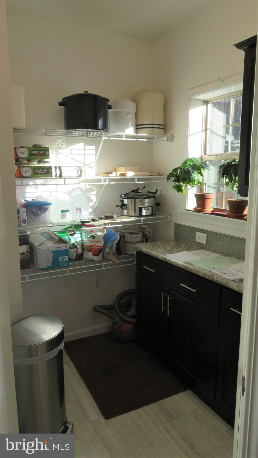 90 Landis Store Road Boyertown, PA 19512 - Photo 14 of 39 Walk-in pantry