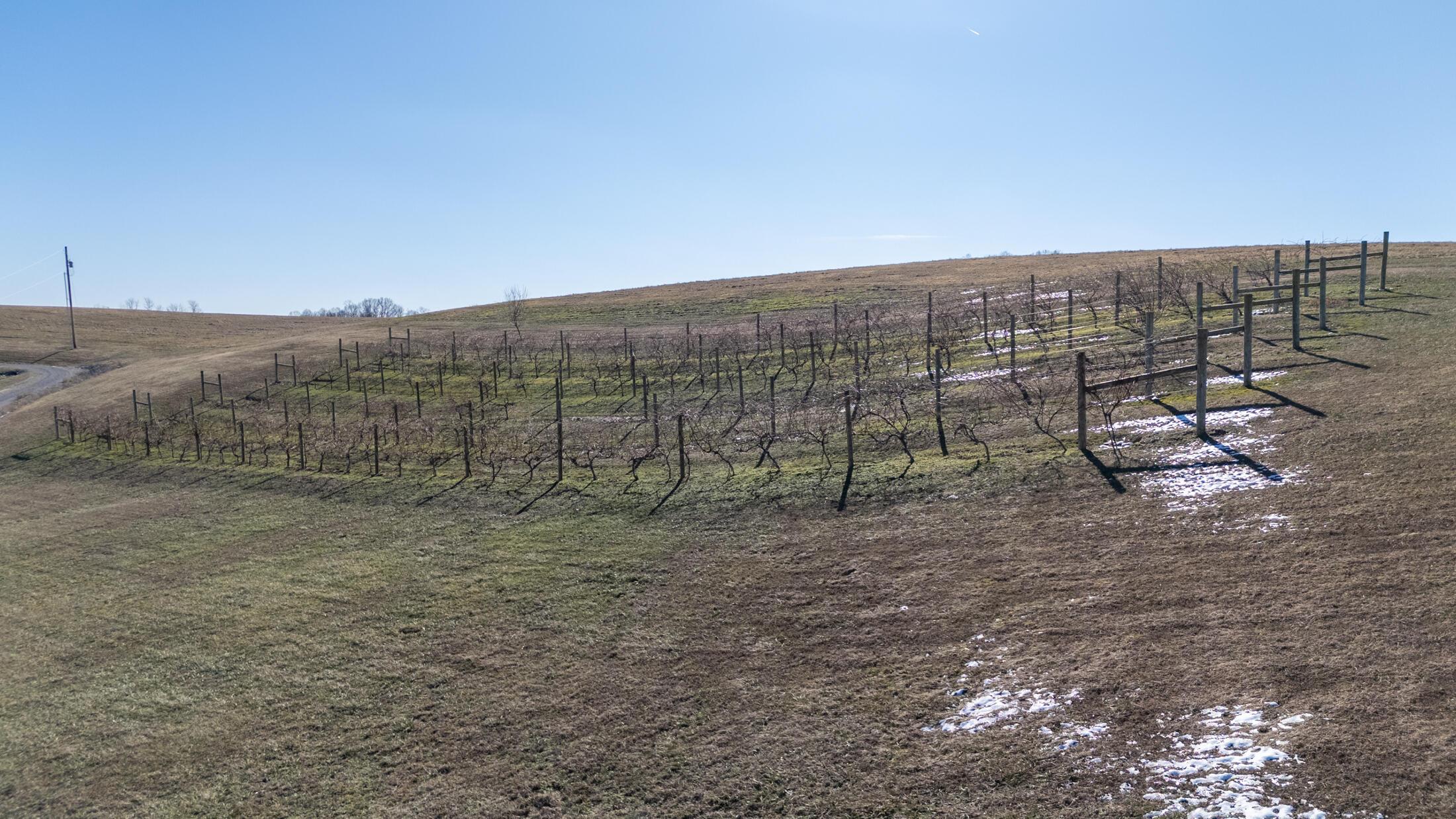 0 Four 4 Mile Road Oak Hill, OH 45656 - Photo 8 of 11 DJI_20260120114114_0059_D