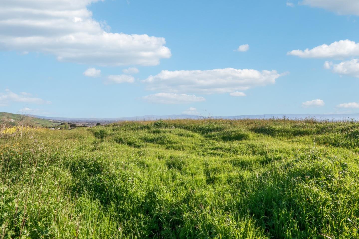 1339 Terra Vista Milpitas, CA 95035 - Photo 13 of 32 a view of an ocean