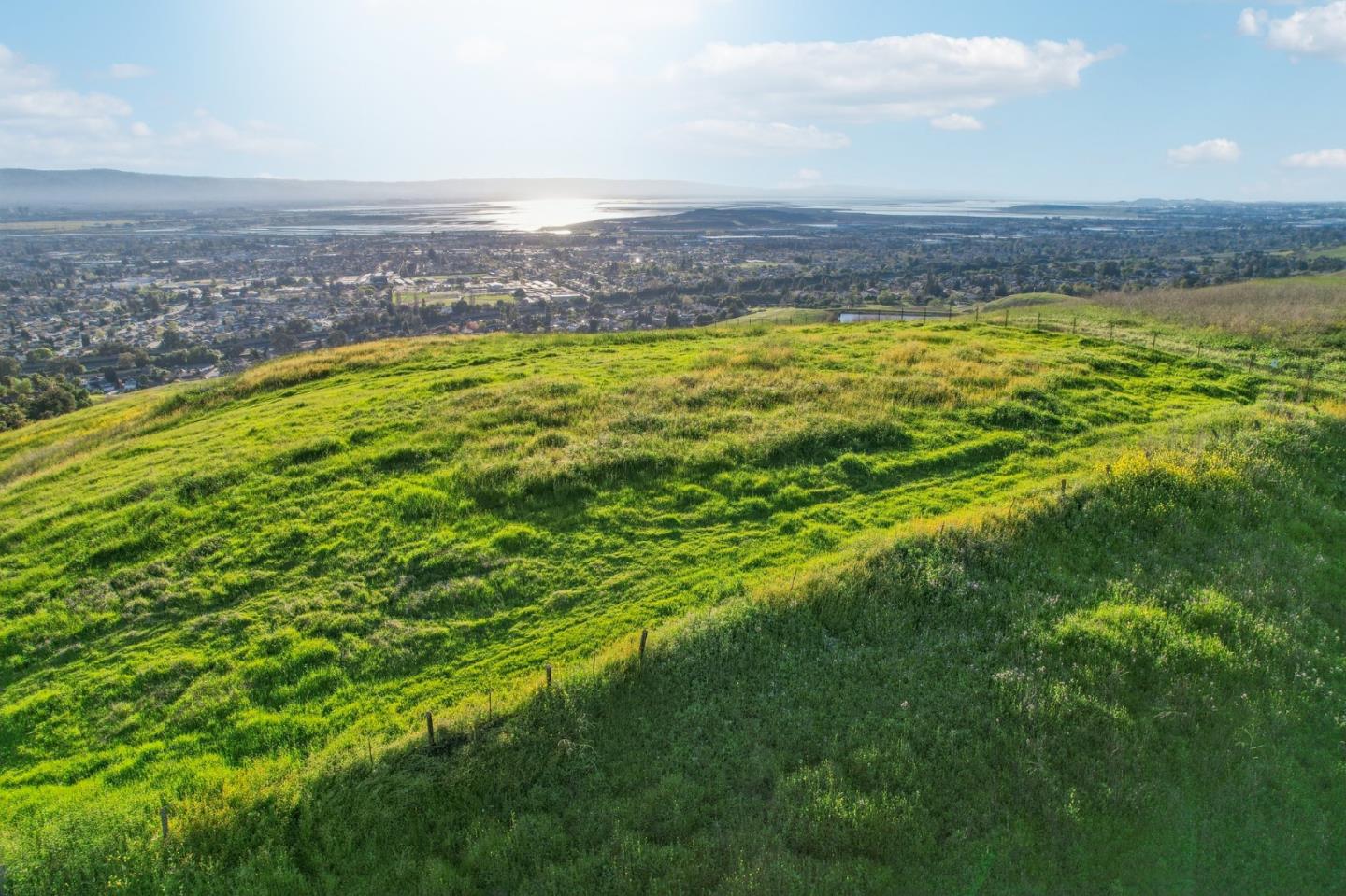 1339 Terra Vista Milpitas, CA 95035 - Photo 3 of 32 a view of a large pool with a yard