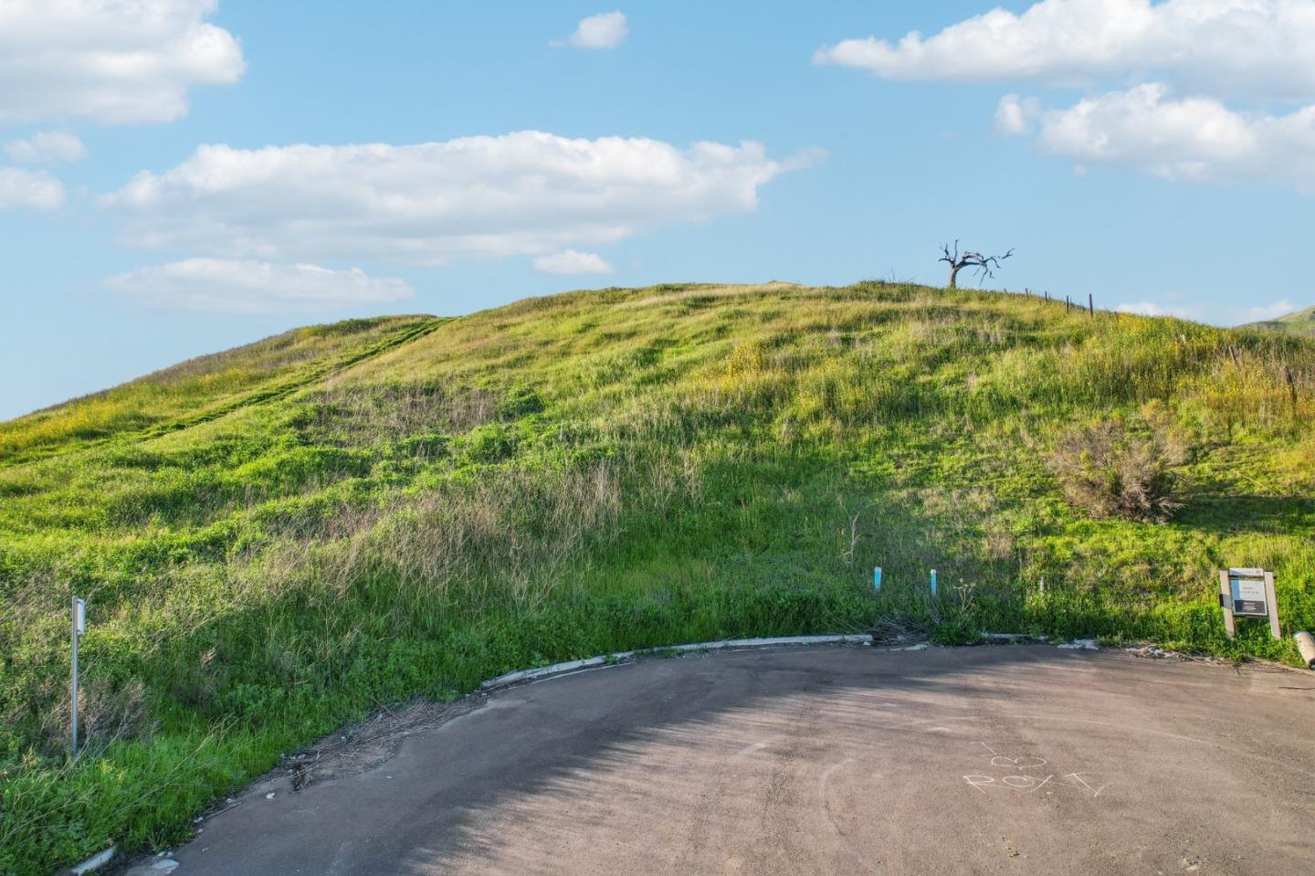 1339 Terra Vista Milpitas, CA 95035 - Photo 32 of 32 a view of a pathway with a yard