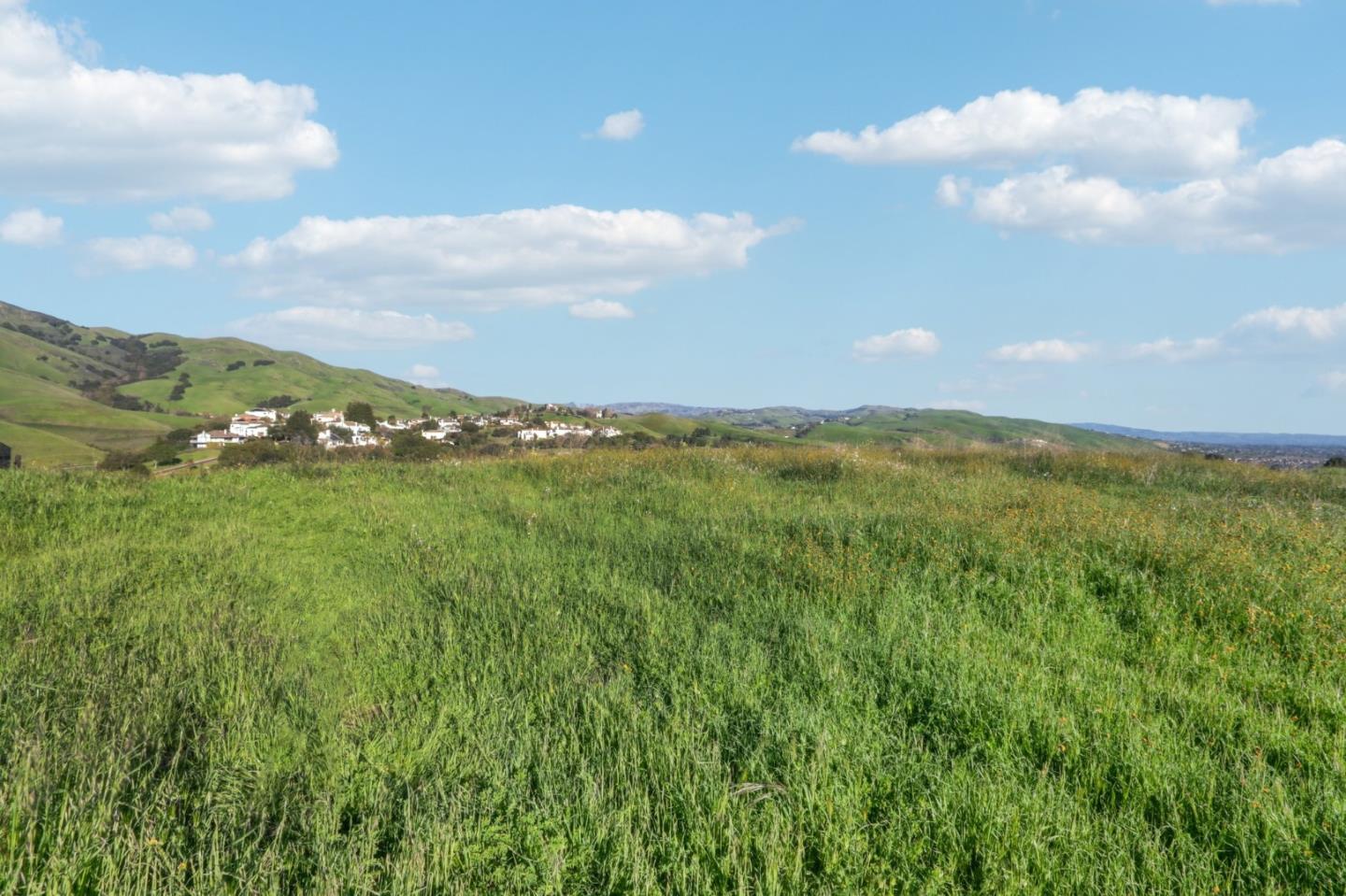 1339 Terra Vista Milpitas, CA 95035 - Photo 4 of 32 a view of an ocean and a yard