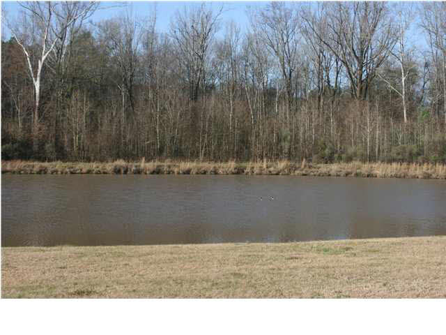 315 Buckingham Court Ridgeland, MS 39157 - Photo 12 of 13 Photo 12