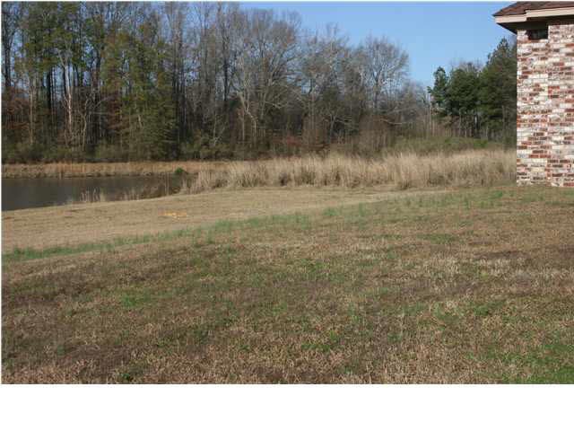 315 Buckingham Court Ridgeland, MS 39157 - Photo 13 of 13 Photo 13
