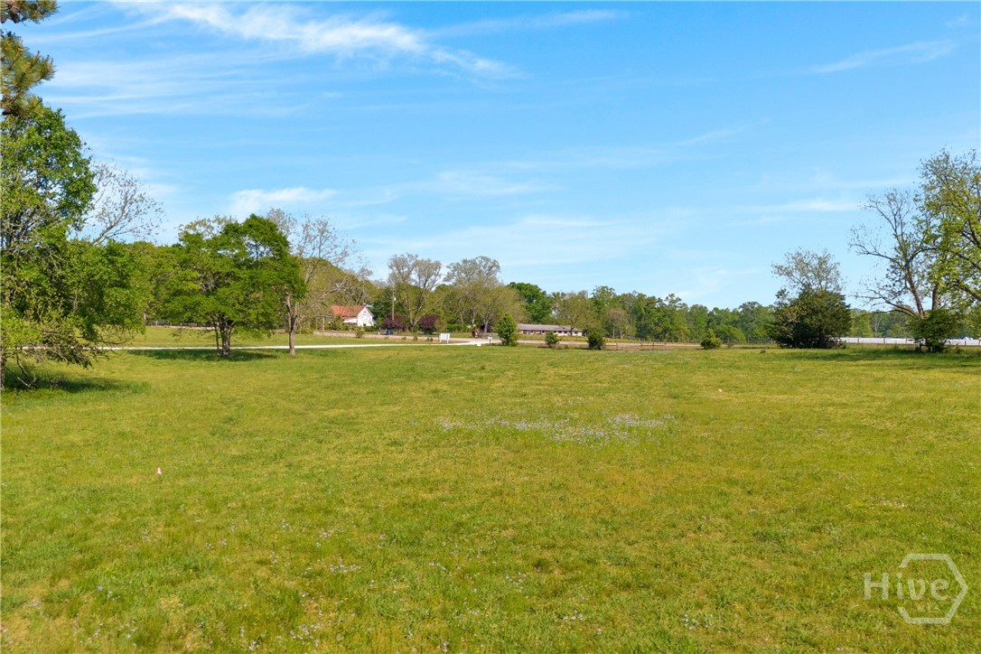 0 Treadwell Bridge Road, Unit 1 Statham, GA 30666 - Photo 4 of 9