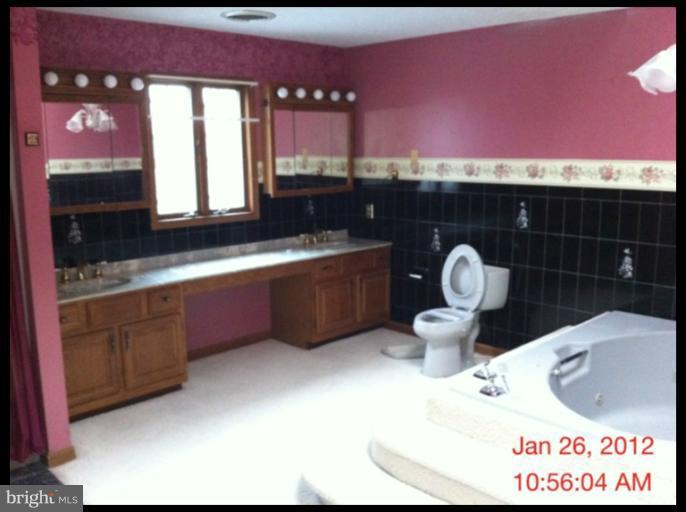 17 Darbys Court Falling Waters, WV 25419 - Photo 9 of 14 a bathroom with a sink a toilet and mirror