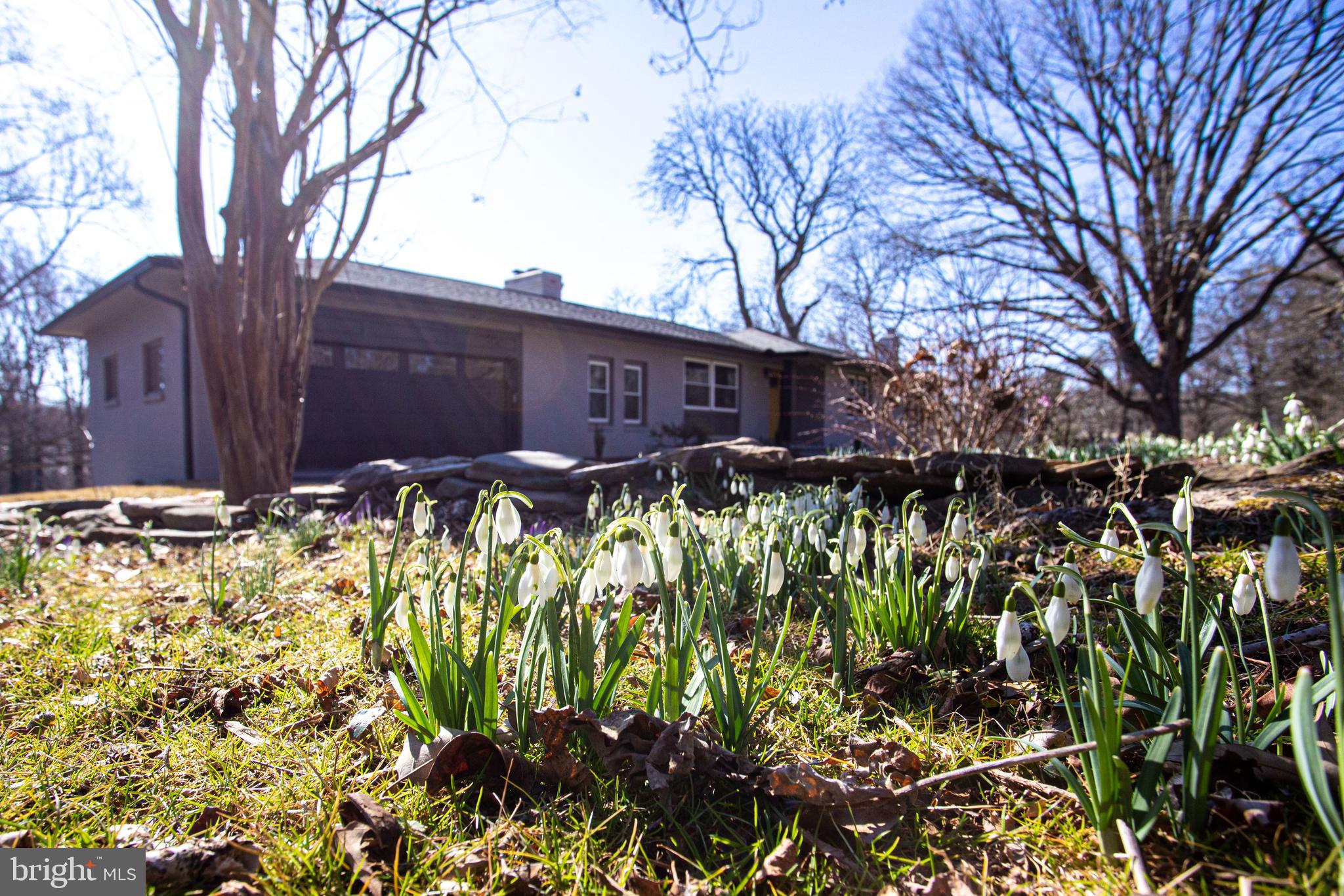 11610 Game Preserve Road Gaithersburg, MD 20878 - Photo 71 of 71 Gallery Image 71