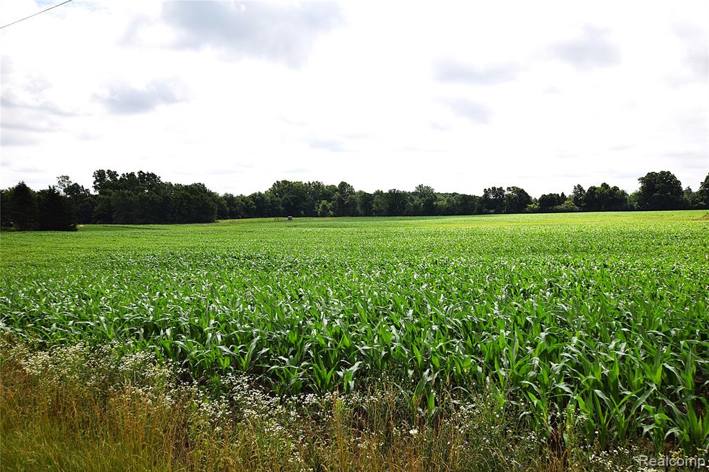 V/l North Irish Road Millington, MI 48746 - Photo 1 of 4