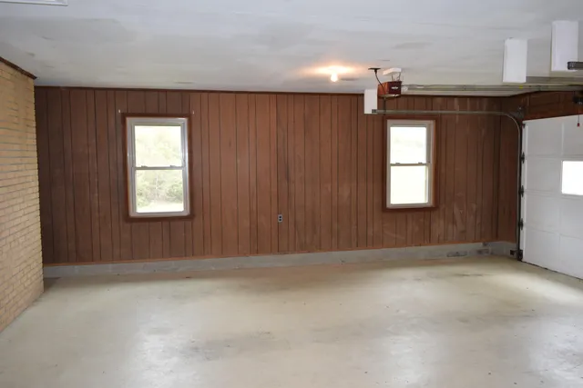 a view of a forest with trees