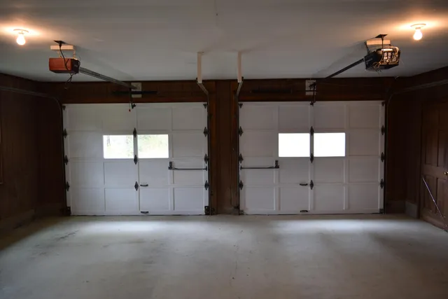 a view of a garden with plants and trees