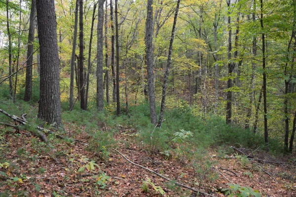 $285,000 | 171 Pine Creek Way Southeast, Floyd, VA 24091