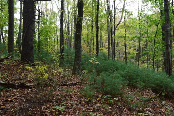 $285,000 | 171 Pine Creek Way Southeast, Floyd, VA 24091