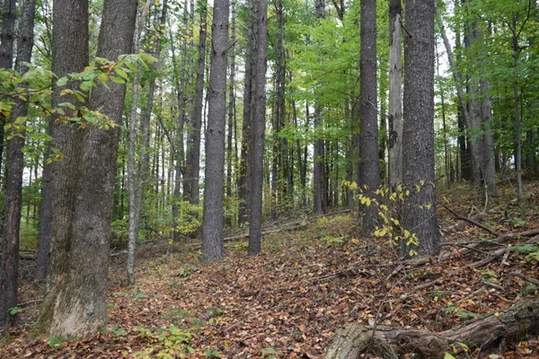 $285,000 | 171 Pine Creek Way Southeast, Floyd, VA 24091