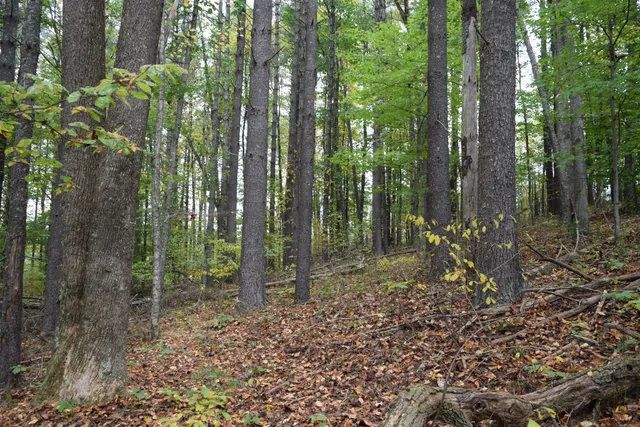 $347,000 | 171 Pine Creek Way Southeast, Floyd, VA 24091