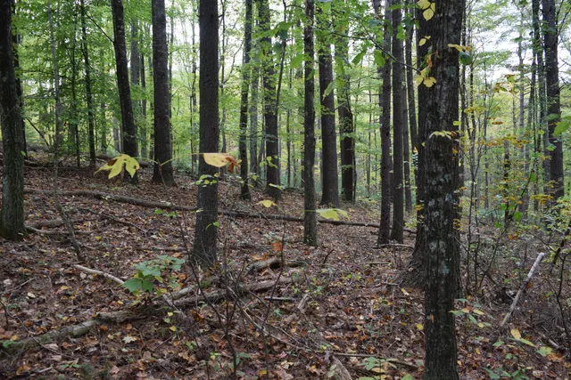 $347,000 | 171 Pine Creek Way Southeast, Floyd, VA 24091