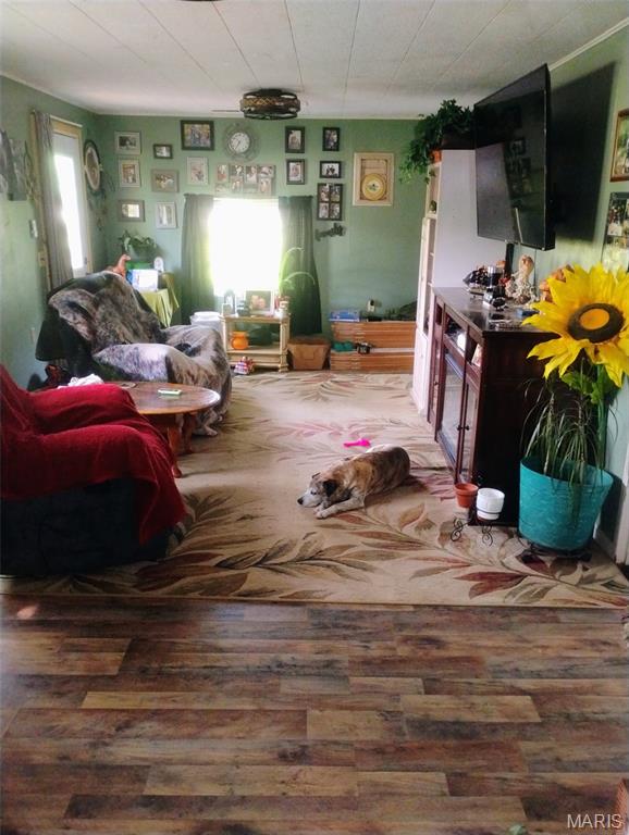 479 Oak Hill Drive Road Houston, MO 65483 - Photo 3 of 7