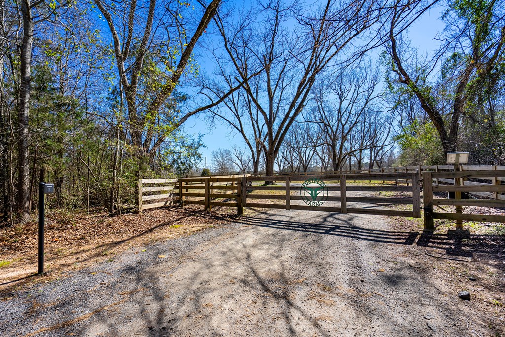 229 Trammel Road Pine Mountain, GA 31822 - Photo 2 of 86 Gallery Image 2