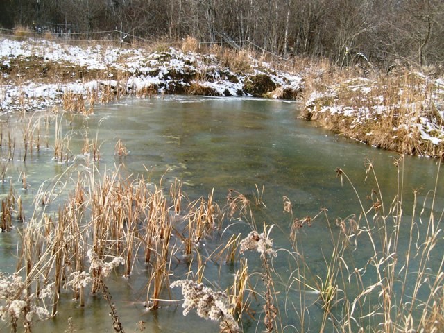 6434 Maple Hill Road Southwest Fife Lake, MI 49633 - Photo 63 of 73 1825651-62.JPG