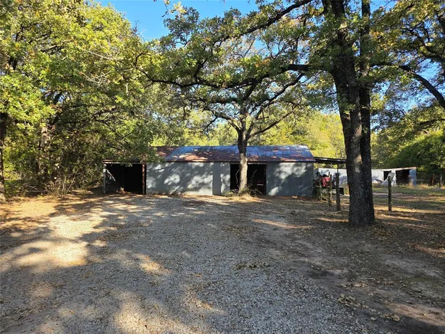 a view of a yard with a tree