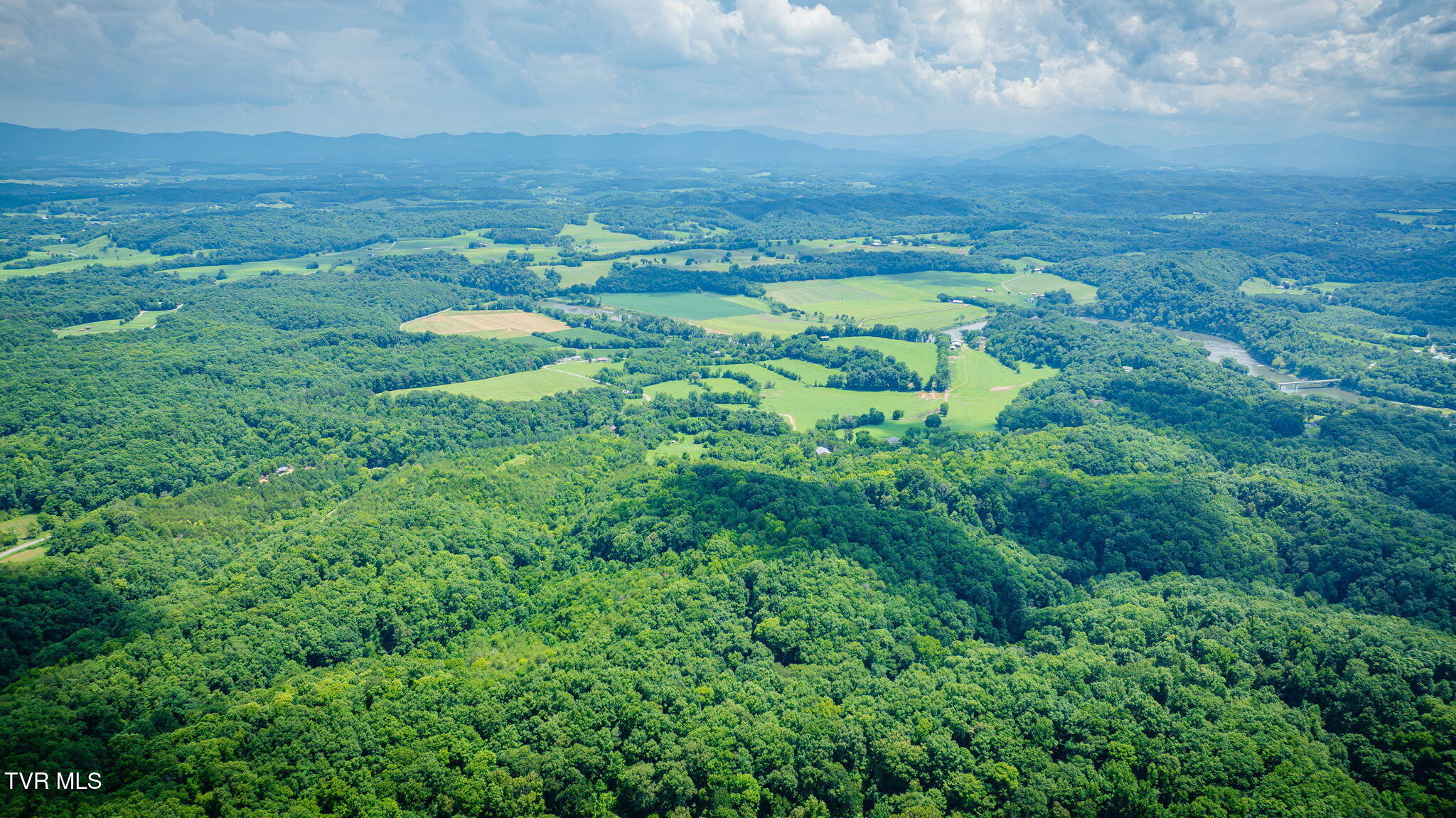 1355 Jackson Hollow Road Mosheim, TN 37818 - Photo 66 of 95 112