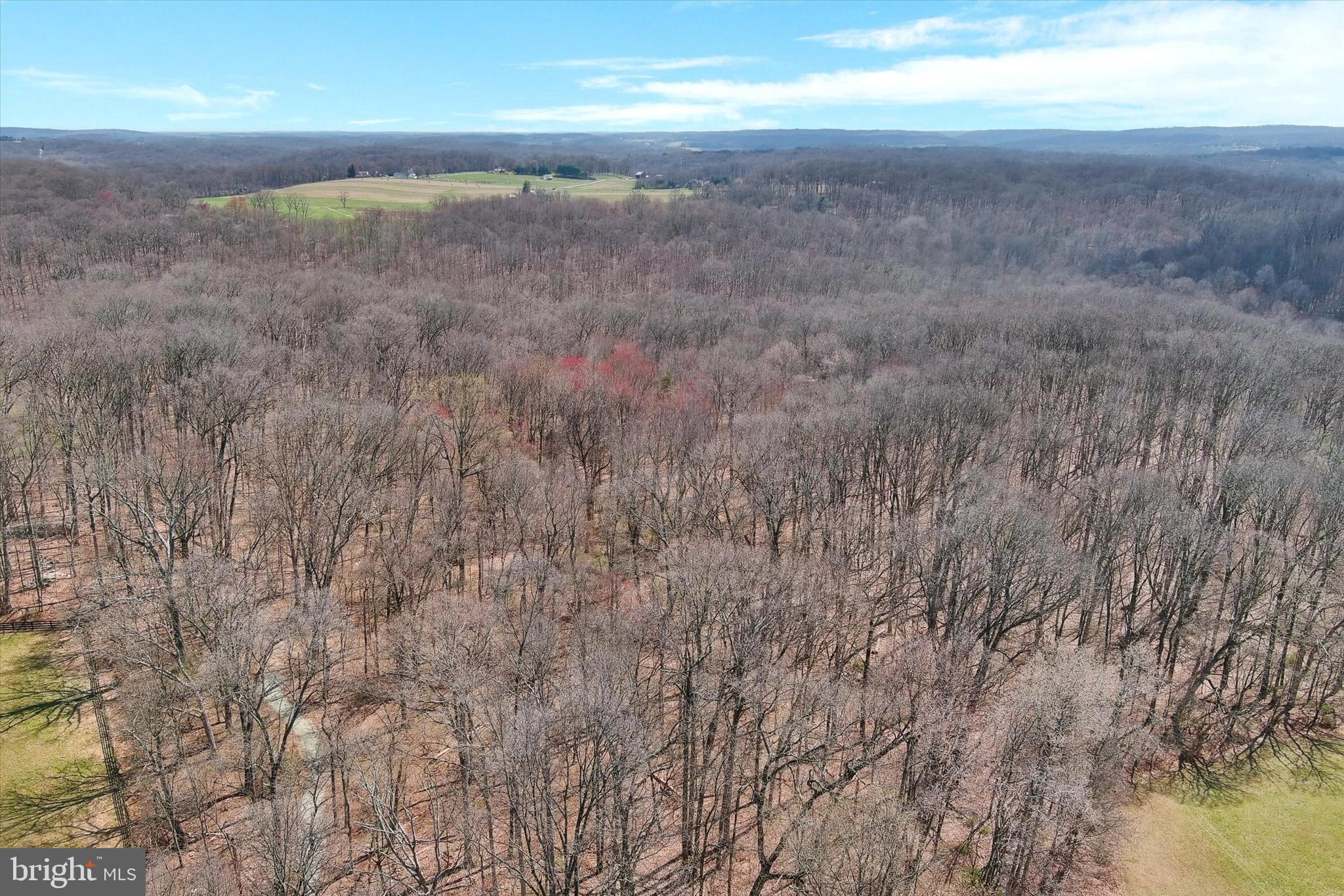 2241 Amoss Mill Road Pylesville, MD 21132 - Photo 25 of 36 Gallery Image 25