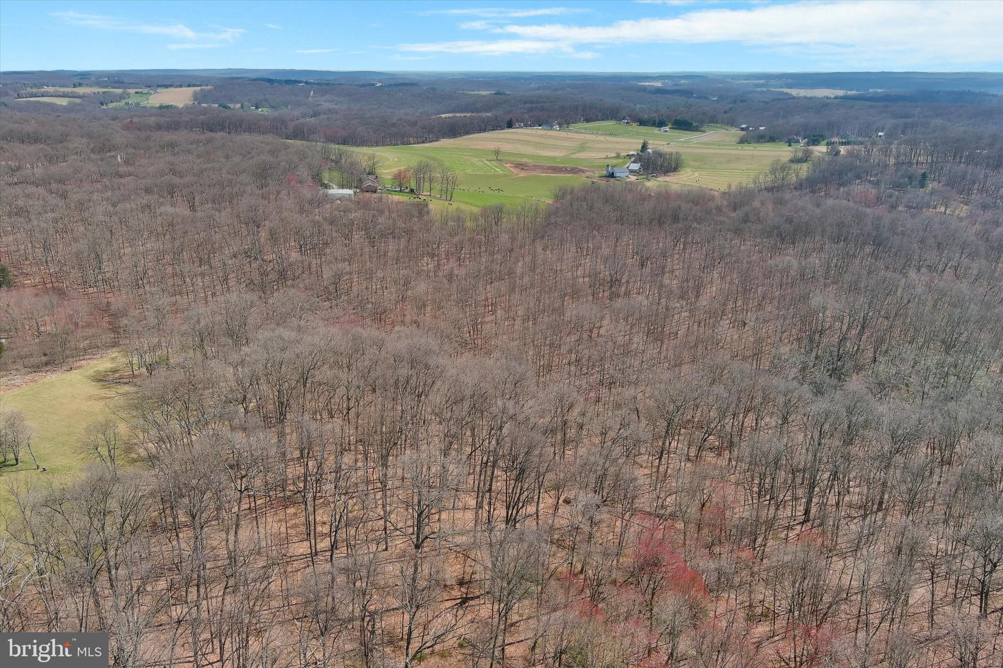 2241 Amoss Mill Road Pylesville, MD 21132 - Photo 28 of 36 Gallery Image 28