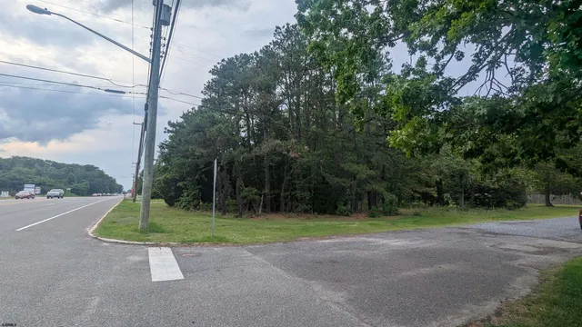 a view of a park with a tree