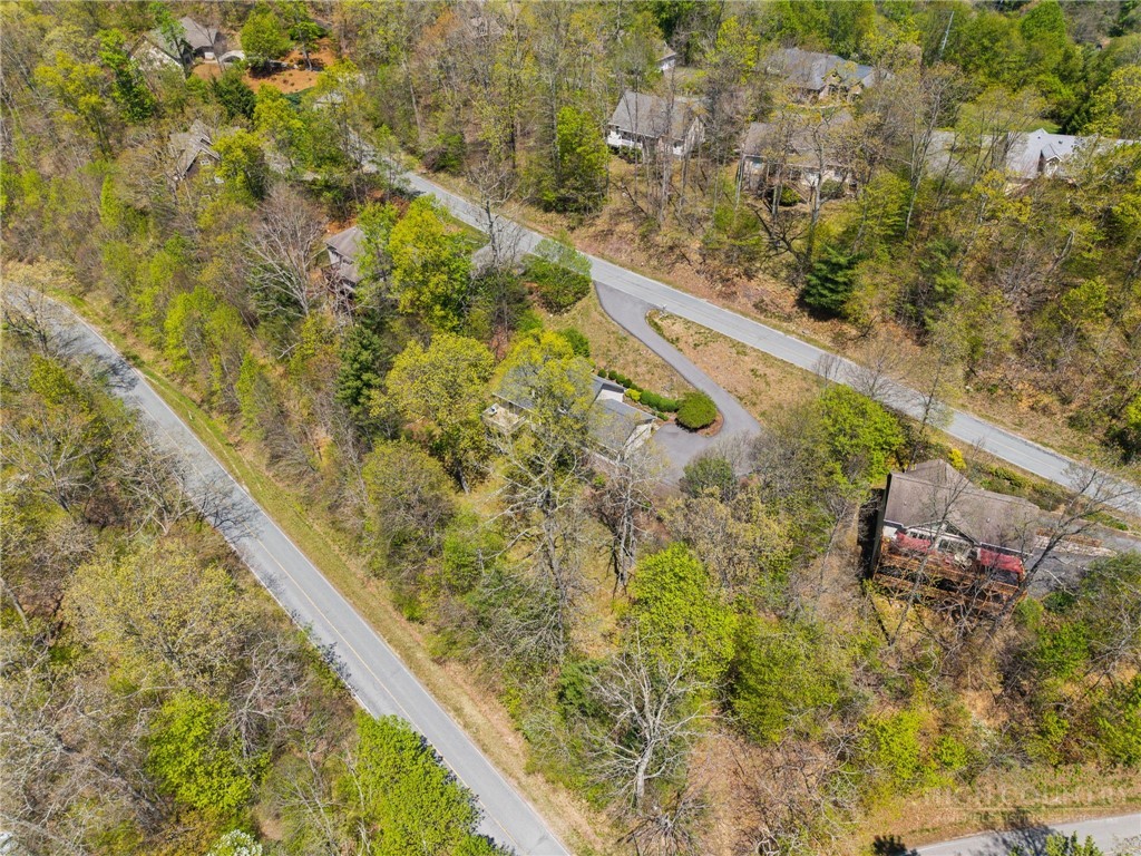 480 North Ridge Circle Boone, NC 28607 - Photo 50 of 50 a view of a yard with plants