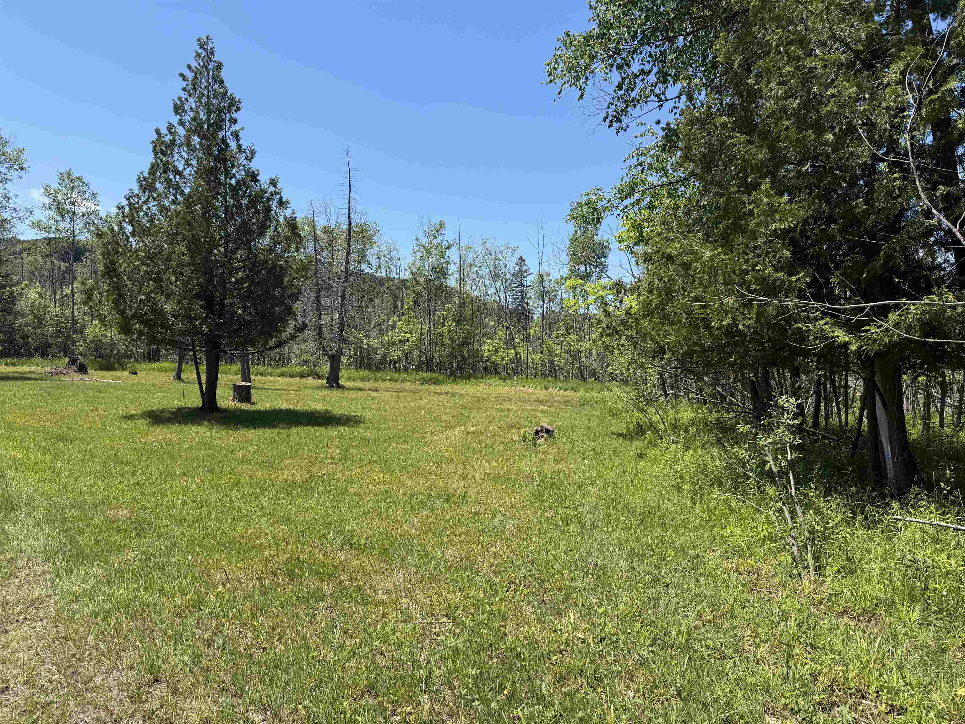6263 East Jordan Road Ellsworth, MI 49729 - Photo 35 of 40