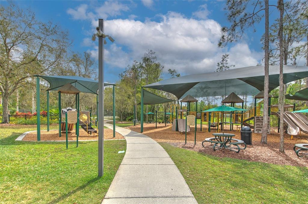 27601 Baybrook Loop Wesley Chapel, FL 33544 - Photo 27 of 34
