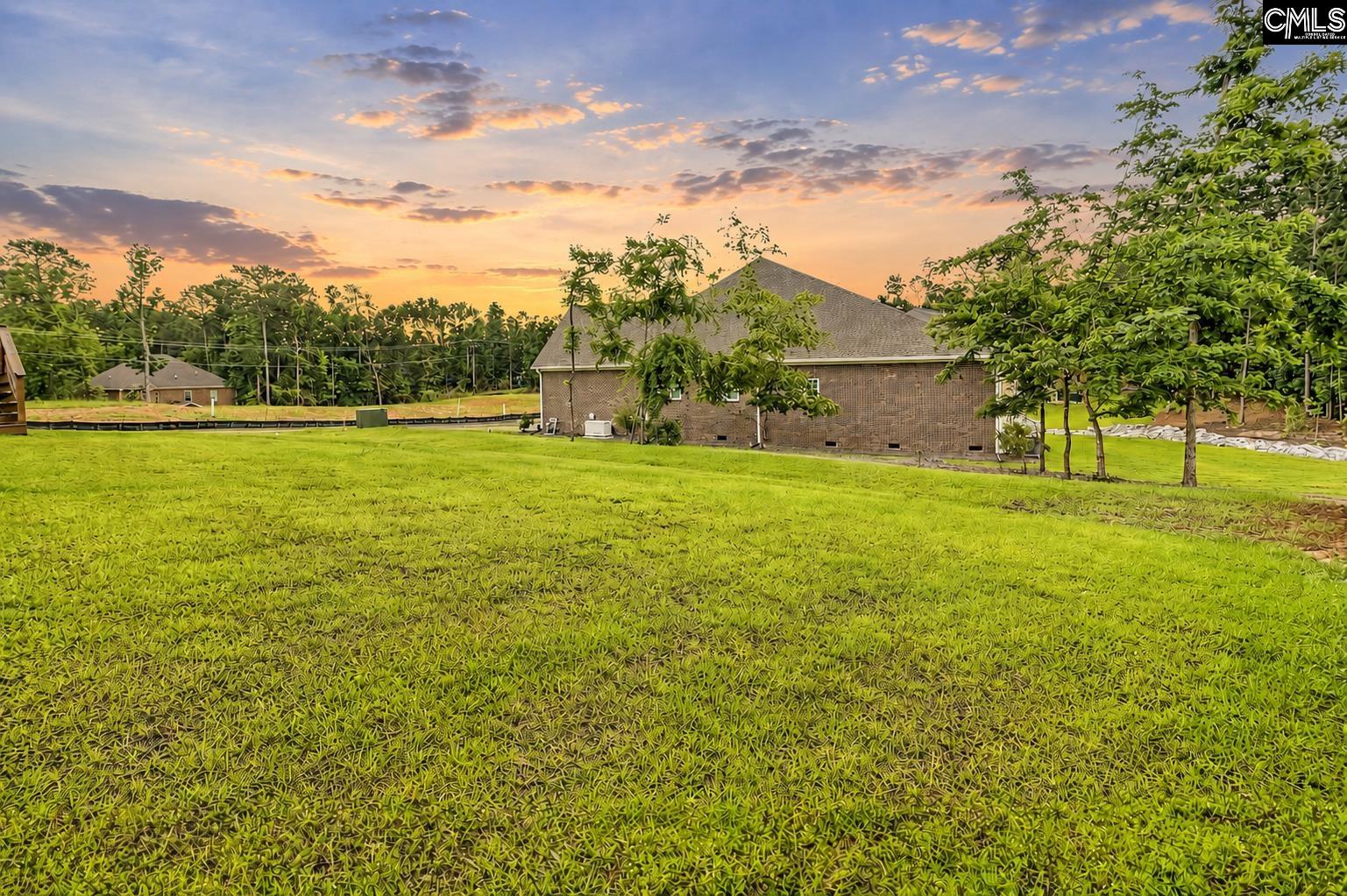 424 Lombard Way Chapin, SC 29036 - Photo 5 of 35