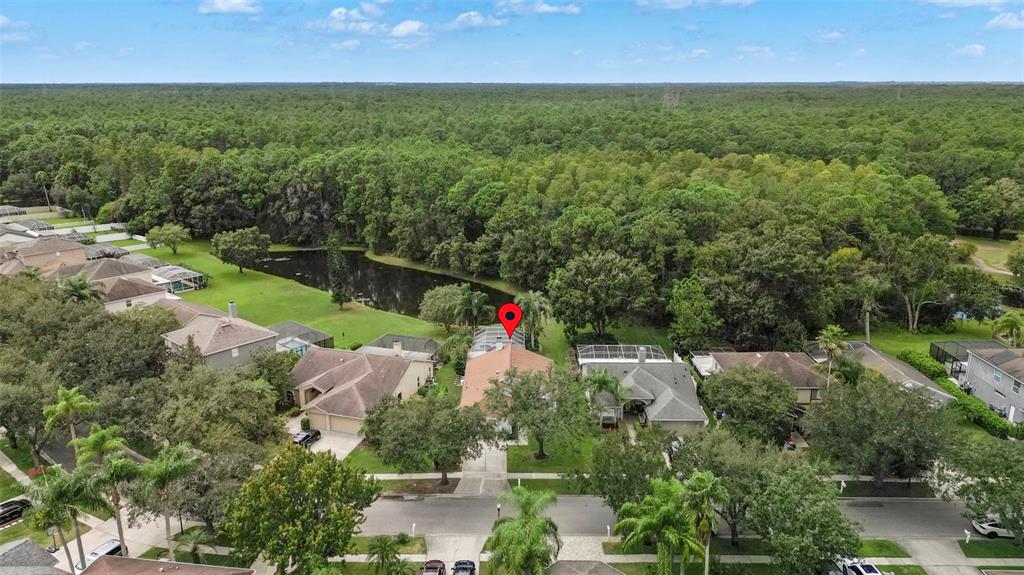 12957 Royal George Avenue Odessa, FL 33556 - Photo 26 of 37