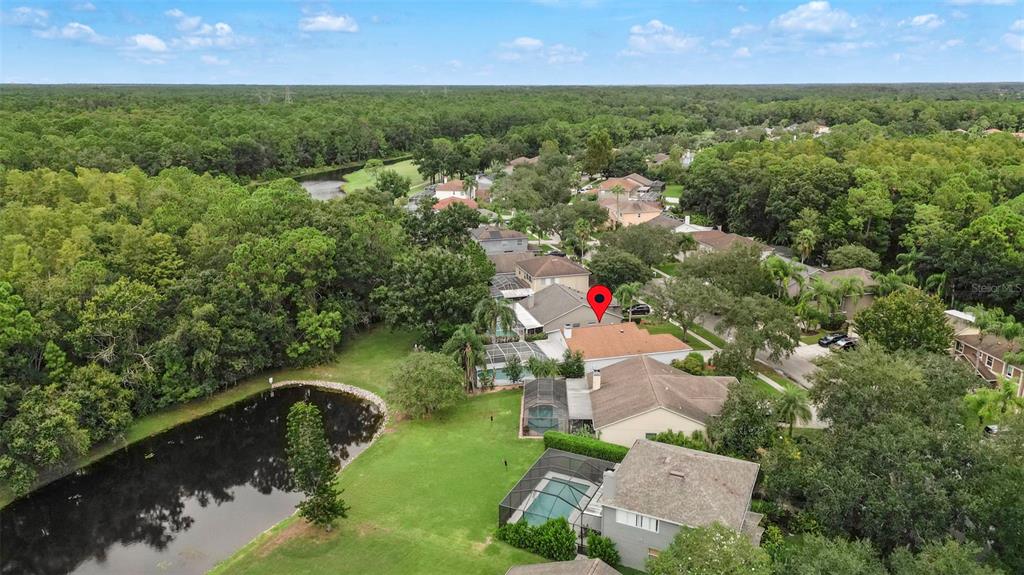 12957 Royal George Avenue Odessa, FL 33556 - Photo 27 of 37