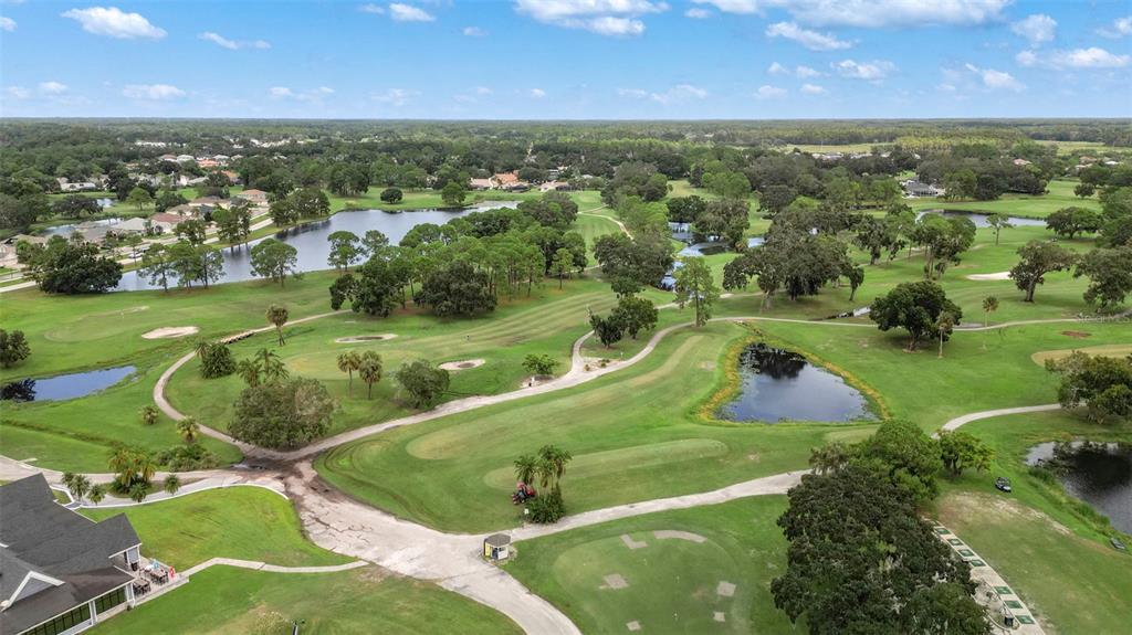 12957 Royal George Avenue Odessa, FL 33556 - Photo 34 of 37