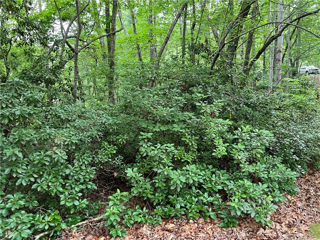 Lot #78 Inland Trail Salem, SC 29676 - Photo 11 of 16