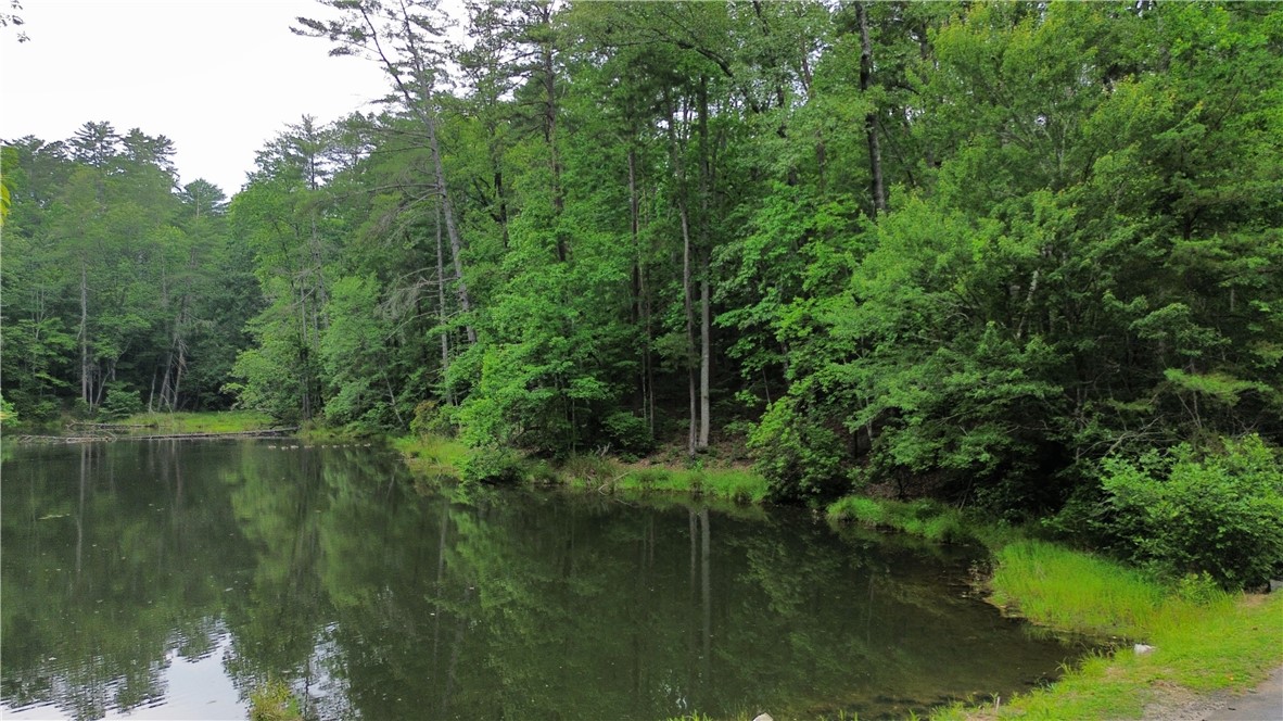 Lot #78 Inland Trail Salem, SC 29676 - Photo 7 of 16 Pond Front