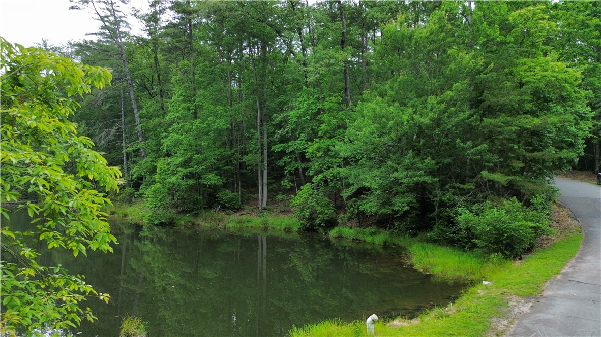 Lot #78 Inland Trail Salem, SC 29676 - Photo 8 of 16 Pond Front