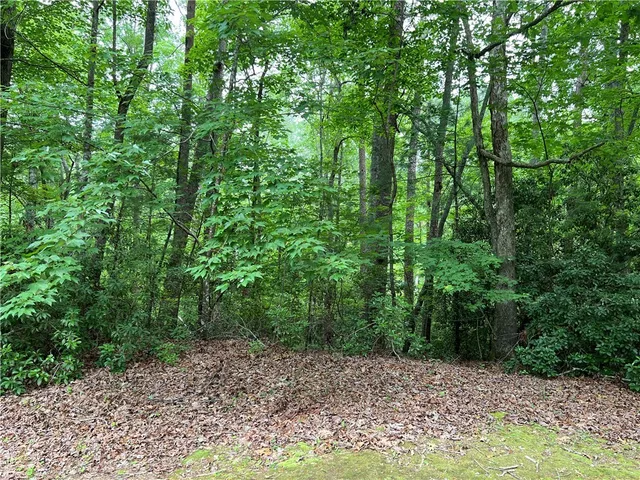 $169,900 | Lot #78 Inland Trail, Salem, SC 29676