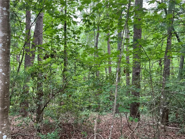 $169,900 | Lot #78 Inland Trail, Salem, SC 29676