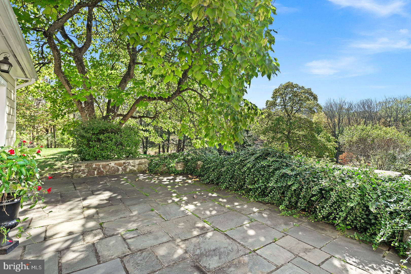154 Province Line Road Skillman, NJ 08558 - Photo 32 of 42