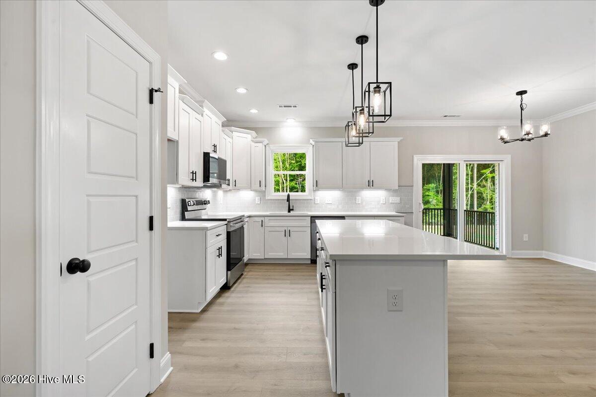 1805 South Big Woods Road Spring Hope, NC 27882 - Photo 11 of 40