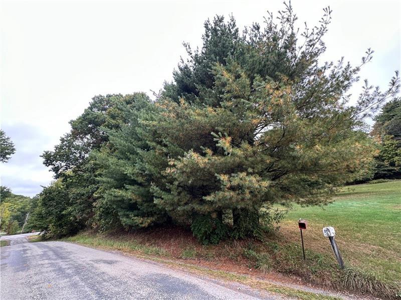 123 St Paul Road Rural Valley, PA 16249 - Photo 21 of 42